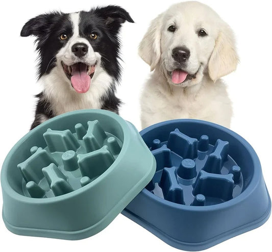 Slow Feeder Bowl