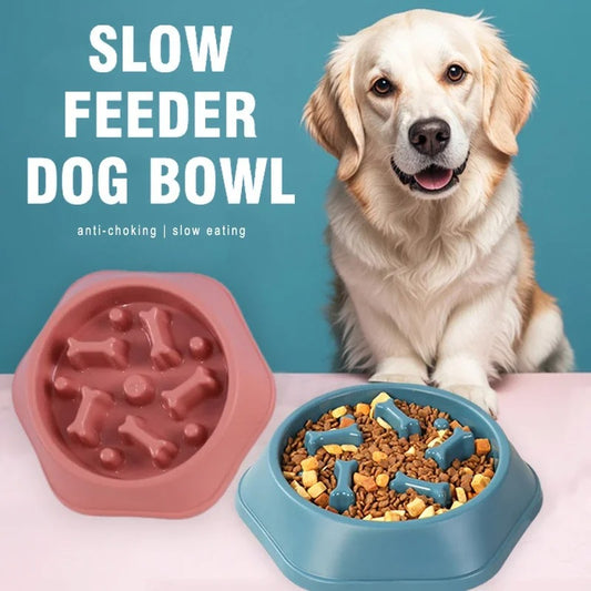 Slow Feeder Bowl