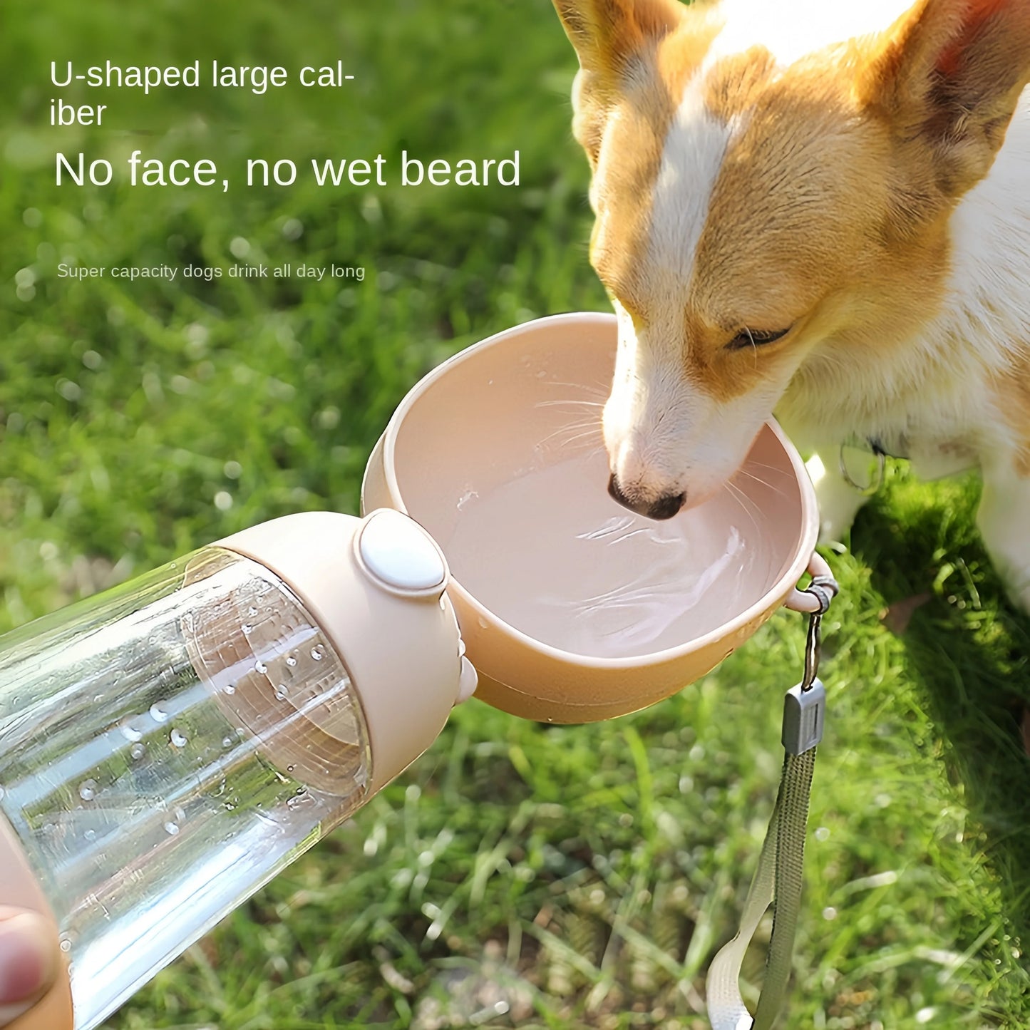 Portable Water Bowl + Food Dispenser